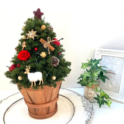 クリスマス2023 プリザーブドフラワークリスマスツリーLEDライトリース レッドのバラとクリスマスグリーンにトナカイ 7枚目の画像