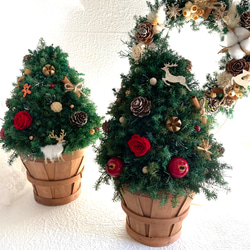 ブルーファンタジアとスターチスのハーフリース フラワーギフト