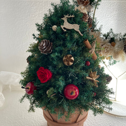 クリスマス2023 プリザーブドフラワークリスマスツリーLEDライトリース レッドのバラとクリスマスグリーンにトナカイ 4枚目の画像