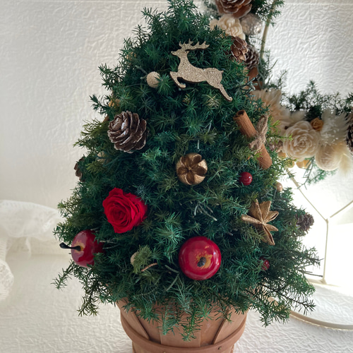 超早割クリスマス2025 プリザーブドフラワークリスマスツリーLEDライト