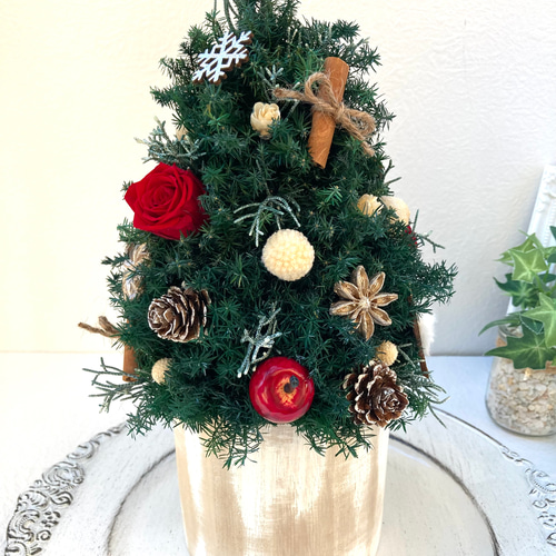 超早割クリスマス2025 プリザーブドドライフラワークリスマスツリー