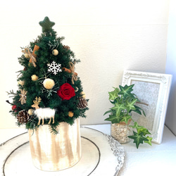 超早割クリスマス2025 プリザーブドドライフラワークリスマスツリー