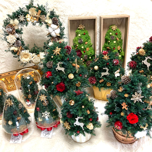 超早割クリスマス2025 プリザーブドドライフラワークリスマスツリー