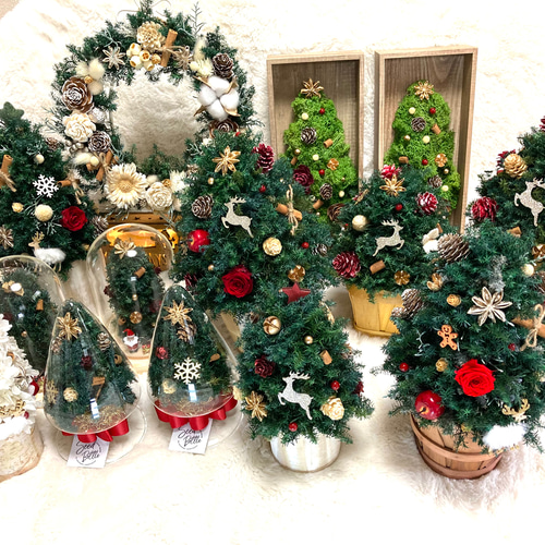 ドライフラワー クリスマスツリー 超早割クリスマス2025 プリザーブドドライフラワークリスマスツリー