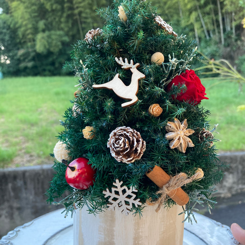 超早割クリスマス2025 プリザーブドドライフラワークリスマスツリー