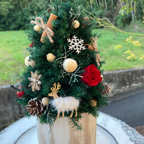 超早割クリスマス2025 プリザーブドドライフラワークリスマスツリー