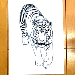 【ハンドメイド】切り絵 アート 虎&チーター　大きい　切り絵本体のみオーダー可能 切り絵 虎 切り絵 earstle 通販 14704758｜Creema(クリーマ