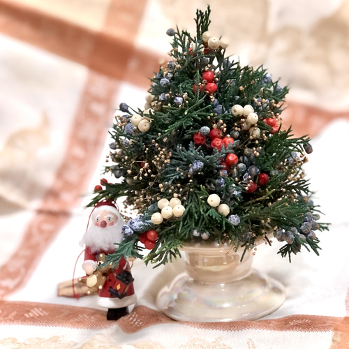 ジュニパーベリーのプチクリスマスツリー スワッグ カサブランカ 通販