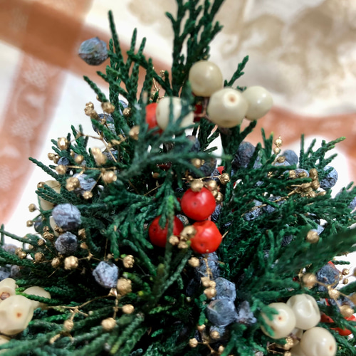 ジュニパーベリーのプチクリスマスツリー スワッグ カサブランカ 通販