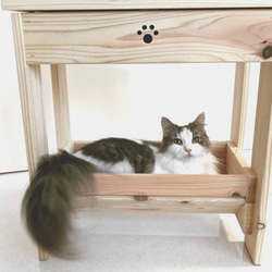 猫アロマ 八角形 ２段ベッド ねこ ネコ 猫ベッド 木製 クッション