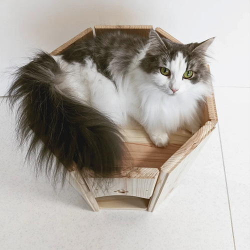 猫アロマ 八角形 2段ベッド ねこ ネコ 猫ベッド 木製