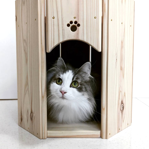 葉と猫のデザイン 八角形皿 専用木箱付き Amazon | 猫家族