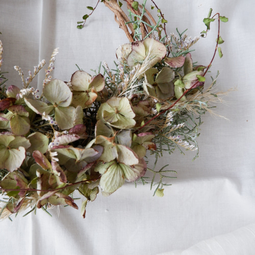 秋色紫陽花のリース ドライフラワー petite riviere 通販