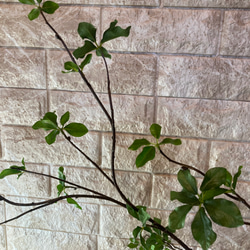 光触媒　人工観葉植物　ウォールグリーン　フェイク　フラワー　ドウダン3本 4枚目の画像