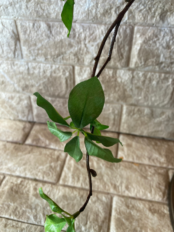 光触媒　人工観葉植物　ウォールグリーン　フェイク　フラワー　ドウダン3本 7枚目の画像