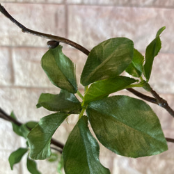 光触媒　人工観葉植物　ウォールグリーン　フェイク　フラワー　ドウダン3本 5枚目の画像