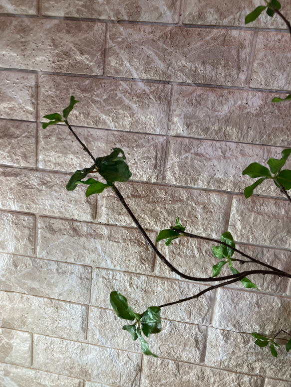 光触媒　人工観葉植物　ウォールグリーン　フェイク　フラワー　ドウダン3本 9枚目の画像