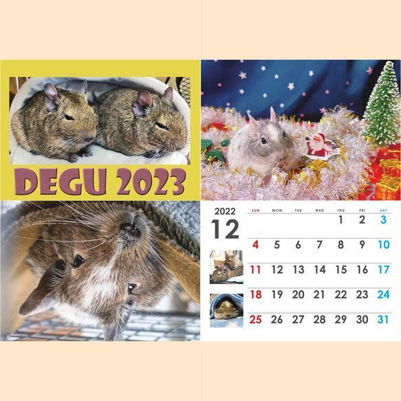 2023 デグー 壁掛カレンダー A4冊子(見開きA3) 2枚目の画像