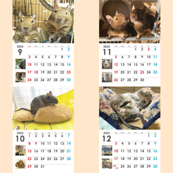 2023 デグー 壁掛カレンダー A4冊子(見開きA3) 5枚目の画像