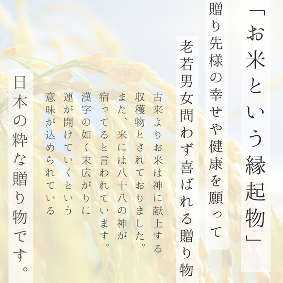 お米のプチギフト 移動 席札 結婚式 産休 引き菓子 引越し お返し 挨拶 こしひかり 福結び 19枚目の画像