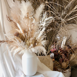 パンパスグラス ドライフラワー 本数UP‼︎パンパスグラス＊15pcs(ドライフラワー)Off White | MeROOM