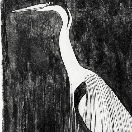 モノクロ写真作品「白鳥」A3サイズ アート インテリア NO.612】モノクロの鳥のアートポスター☆白黒インコ