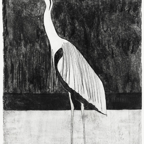 モノクロ写真作品「白鳥」A3サイズ アート インテリア JTLWFgmAyffxHtYu3GBSa5.png@jpg