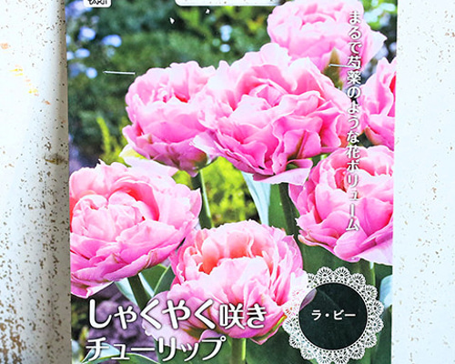 47783ff9d98c61915748b088a38954