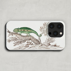 スマホケース / ロバート ジェイコブ ゴードン「ケープ ドワーフ カメレオン」 iPhone全機種対応 爬虫類 個性的 2枚目の画像