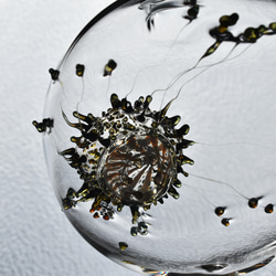 ガラスのサンキャッチャーオーナメント雲丹球ブルーグリーン（アリストテレスの提灯入り） 10枚目の画像
