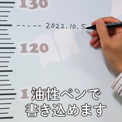 「受注生産」背くらべポスター　等身大オリジナル画像使用　丈夫で長持ちプラスチック素材　タペストリータイプ 9枚目の画像