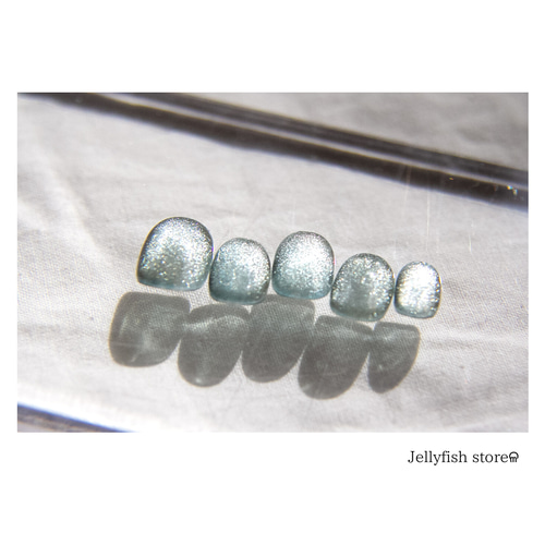 Blue gray ネイルチップ 71Pf1a8WzvL._AC_SY200_QL15_.jpg