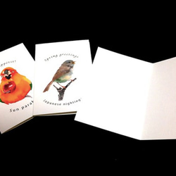 NEW 鳥のメッセージカードセット 5枚入 【春 送別 ギフト】 4枚目の画像