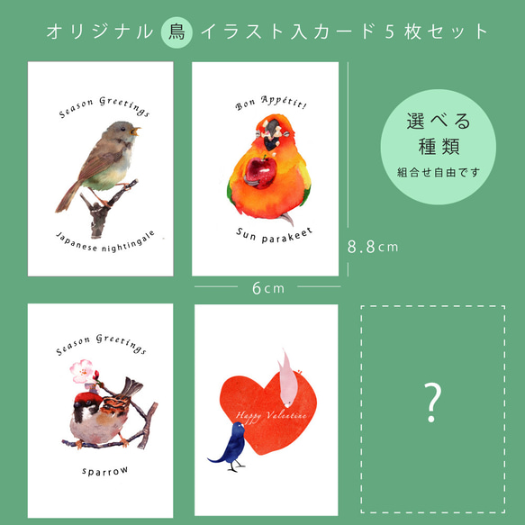 NEW 鳥のメッセージカードセット 5枚入 【春 送別 ギフト】 2枚目の画像