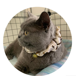 猫首輪　シュシュ首輪　オリジナルチャーム付き　猫首輪　エレガント首輪 6枚目の画像