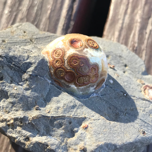 ゴビ石−988 眼石鉱物標本