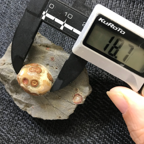 ゴビ石−988 眼石　鉱物標本 ゴビ石−988 眼石 鉱物標本