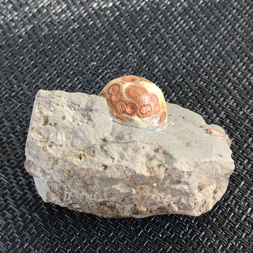 ゴビ石−988 眼石鉱物標本