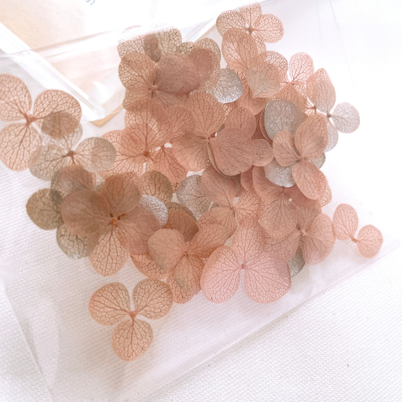40枚) ピンク × シルバー　あじさい　花びら　プリザーブドフラワー 2枚目の画像