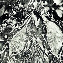 永井雅人銅版画作品 「花々の心臓」大型モノクローム作品　美品未使用　額入り　個展出品作品　直筆サインあり 5枚目の画像