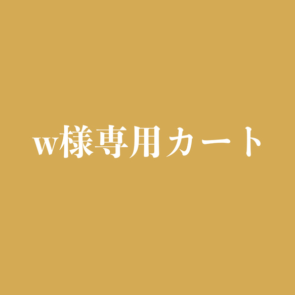 w様専用カート 1枚目の画像