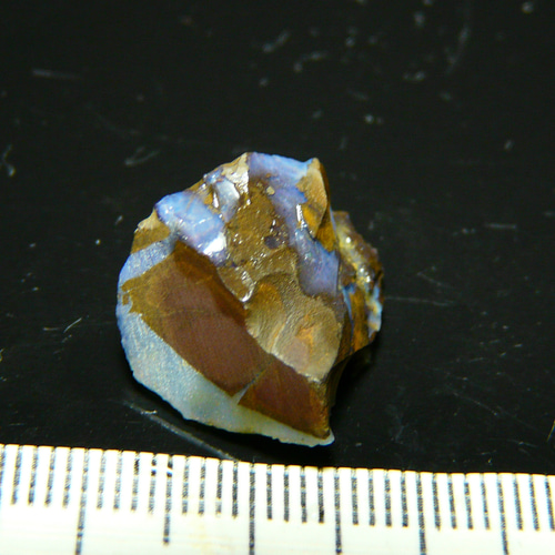 天然石の置物 オパール　原産国オーストラリア ウッドオパール オーストラリア産 0.13ct / 4.1x3.1mm前後 [251131300