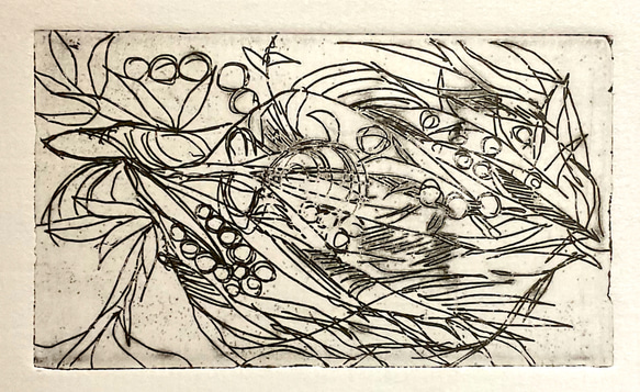 クリーマ限定 銅版画作品 ハガキサイズ「小さな実り」モノクローム作品