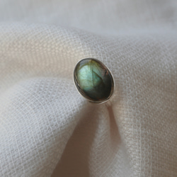 [アゲハ蝶のlabradorite]ring 6枚目の画像