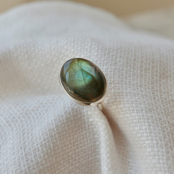 [アゲハ蝶のlabradorite]ring 2枚目の画像