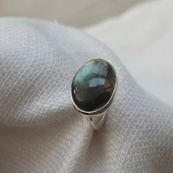 [アゲハ蝶のlabradorite]ring 7枚目の画像