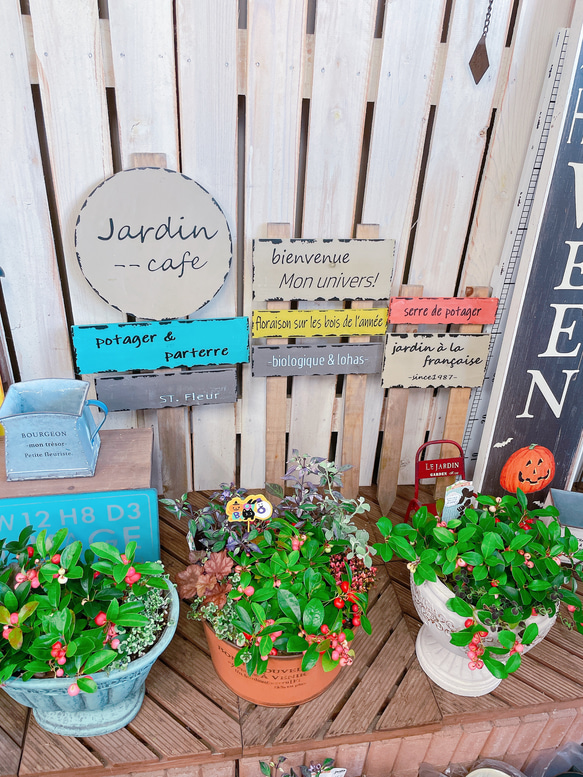 ガーデンピック☆パーツとしても。。 【公式通販】