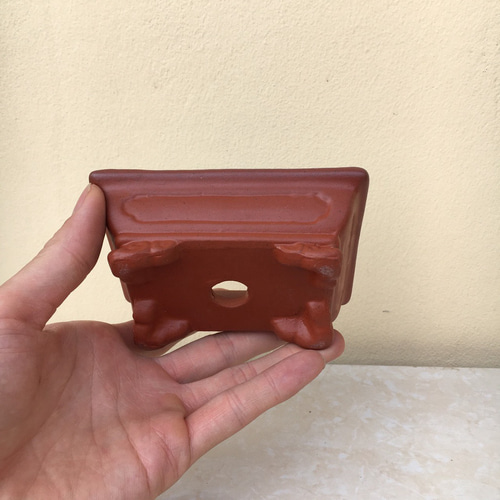 長方形鉢盆栽 蓮石 ミニテラコッタ 赤朱色 1サイズのみ その他