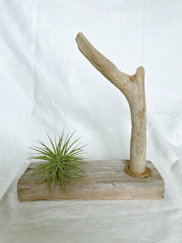 流木インテリア置物