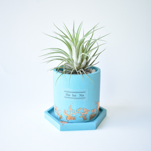 チランジア ジェスモナイト プランター セット トルコブルー （エア